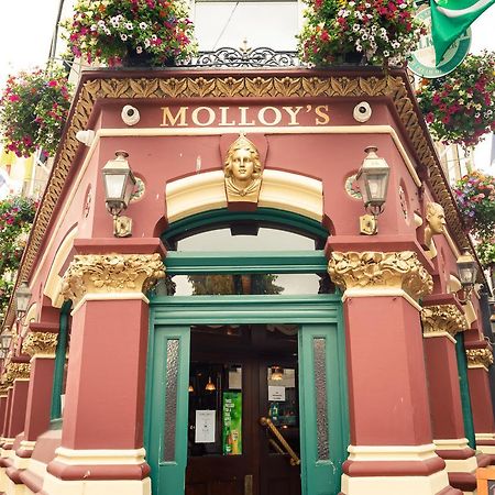 Molloys Apartments Dublin Exteriör bild